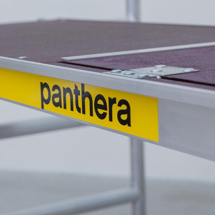 Panthera01-720x720